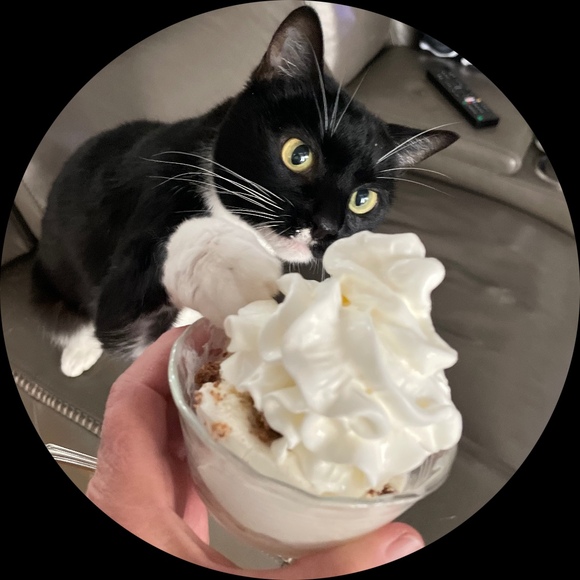 coachbadkitty